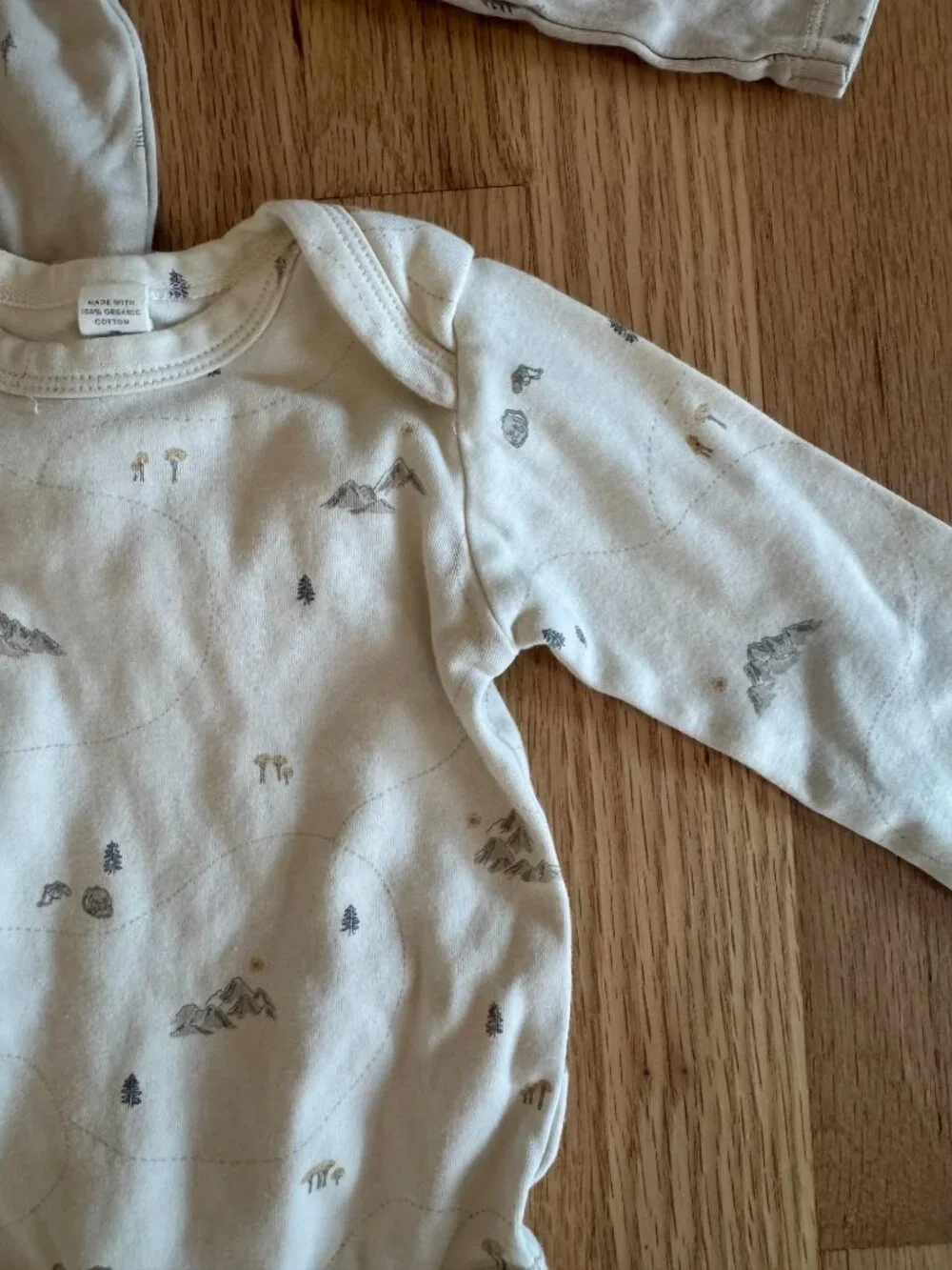 Colored Organics Mountain Long Sleeve Onesie Bundle | Size 12–18 Months